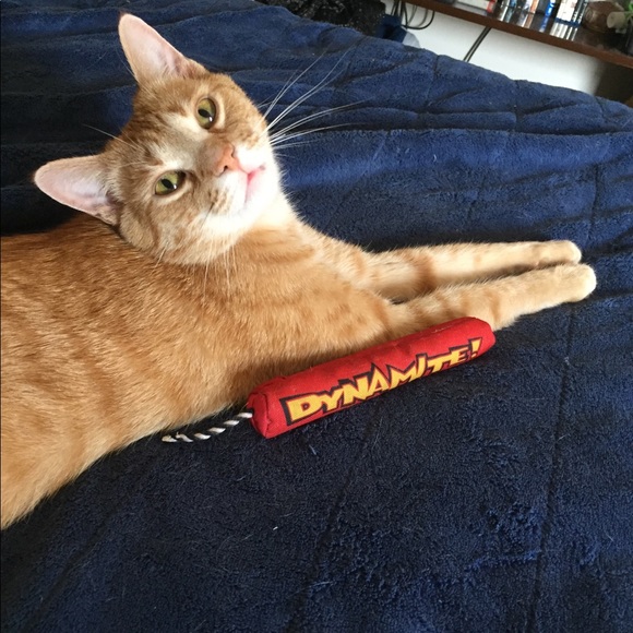 Hi! ๐๐ผIโm Katt. Offers always welcome! ๐ค - Picture 10 of 16